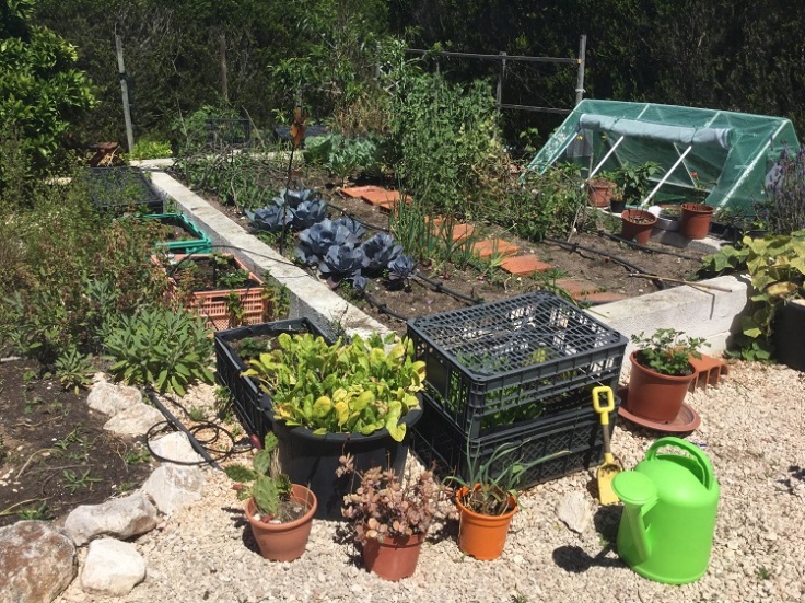 Raised Vegetable Garden May 2019