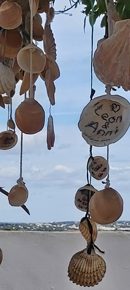 Shells hanging from trees at Capela da Nossa Senhora da Rocha